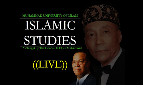 MUI Islamic Studies